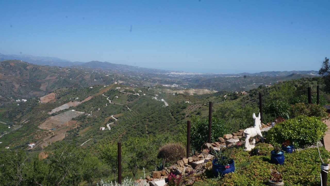 Photo of Others in Comares