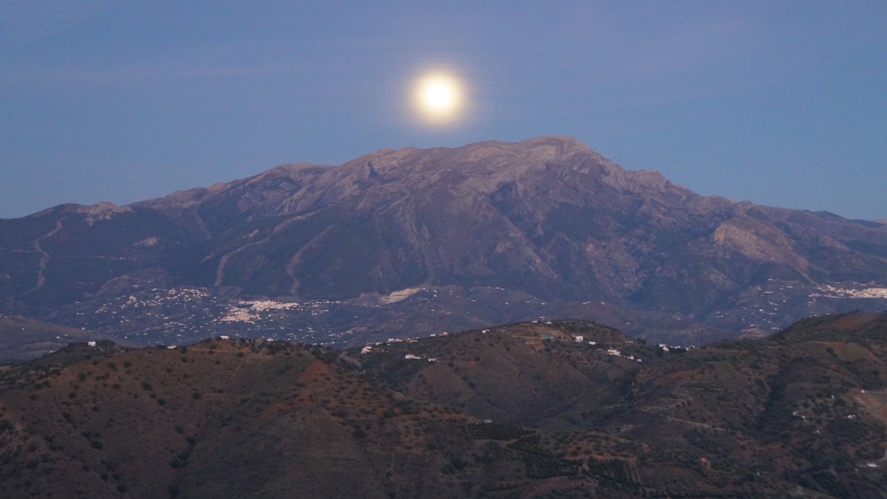 Photo of Others in Comares