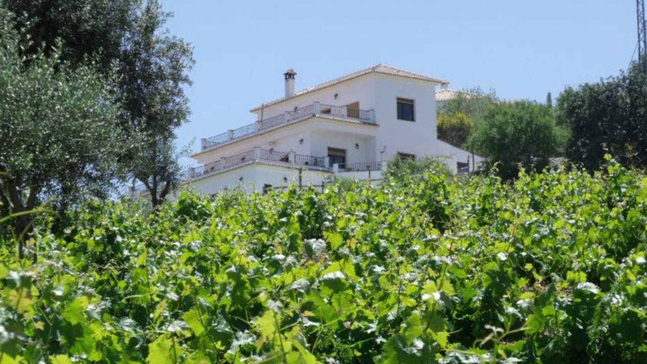 Photo of Others in Comares