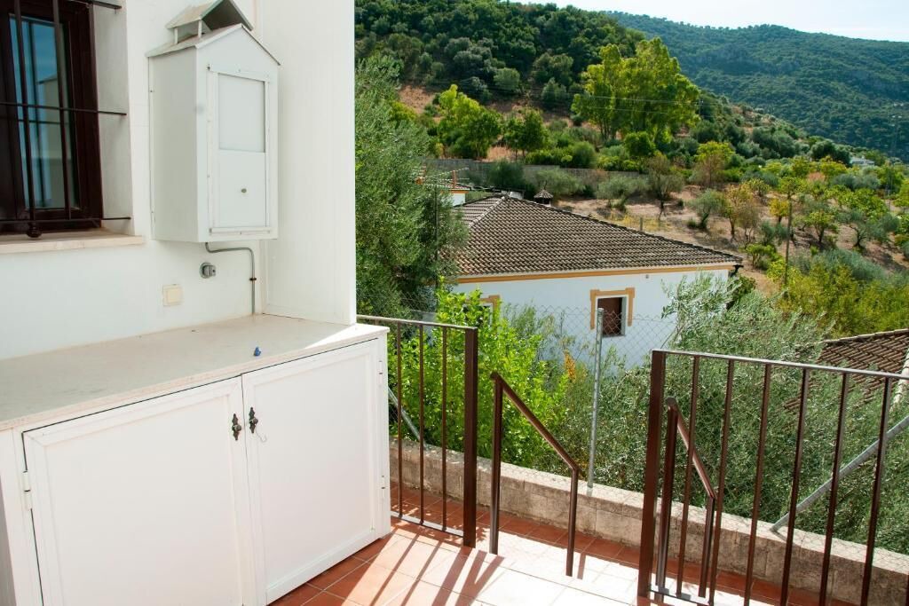 Photo of Outdoor in El Bosque