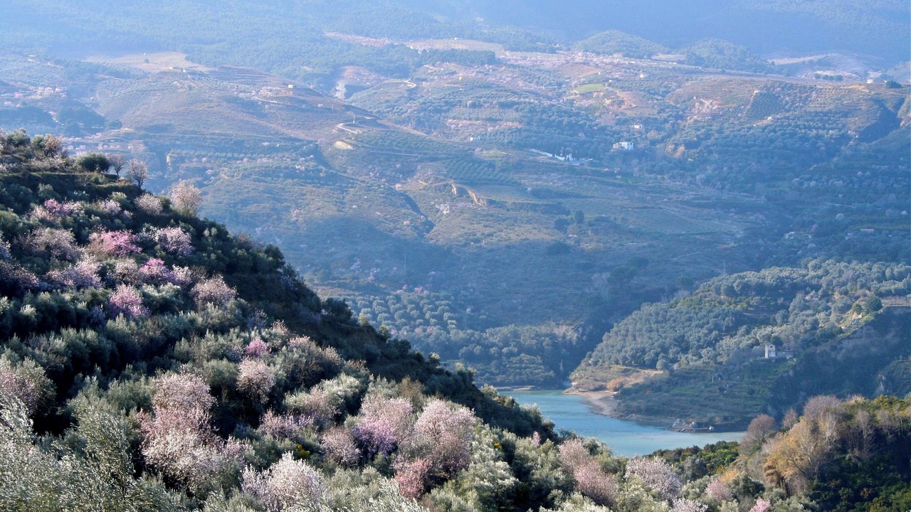 Photo of Others in El Valle