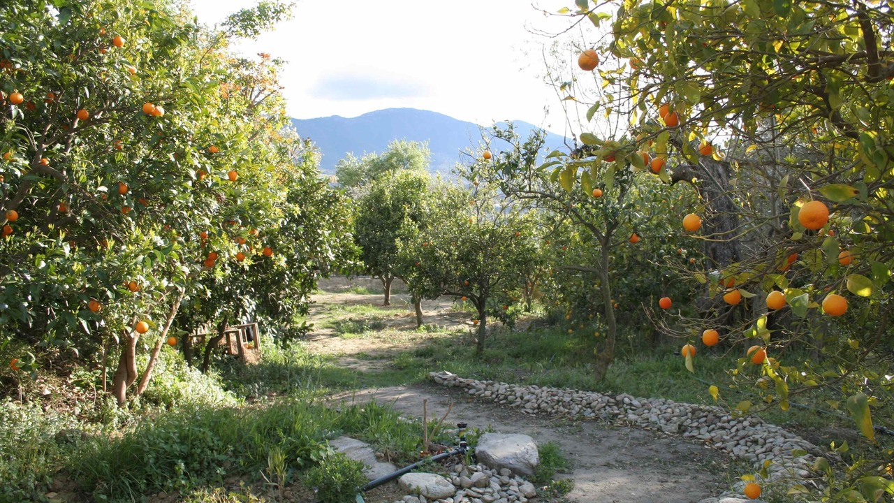 Photo of Others in El Valle