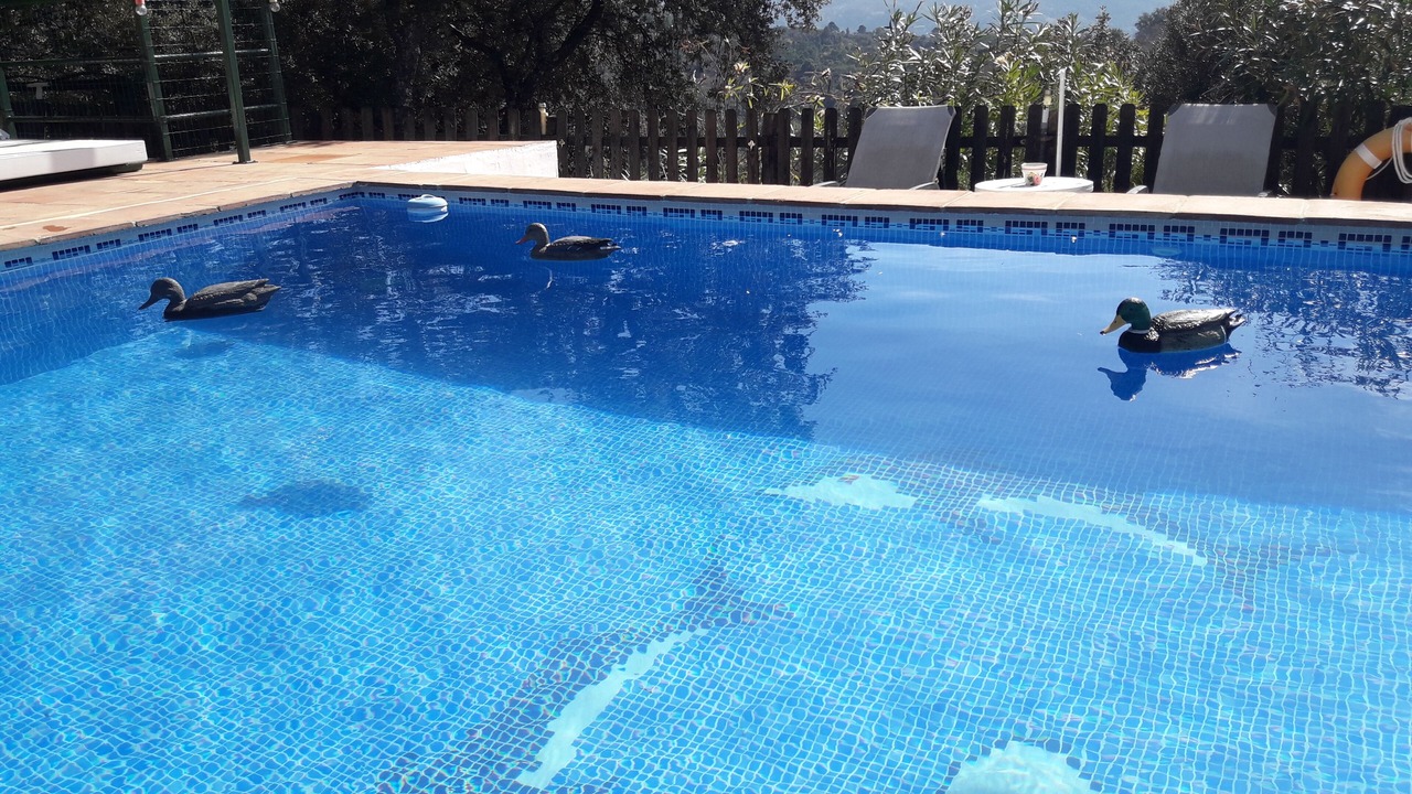 Photo of Outdoor in Alpandeire