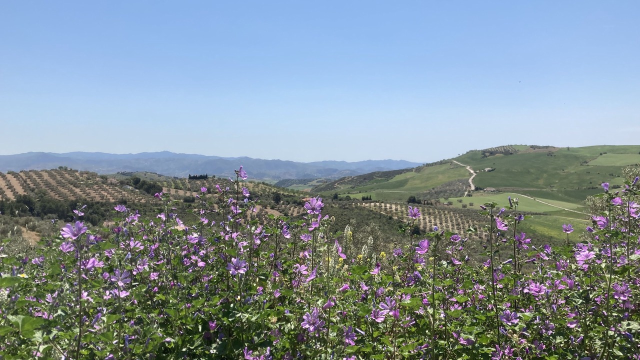 Photo of Outdoor in Antequera