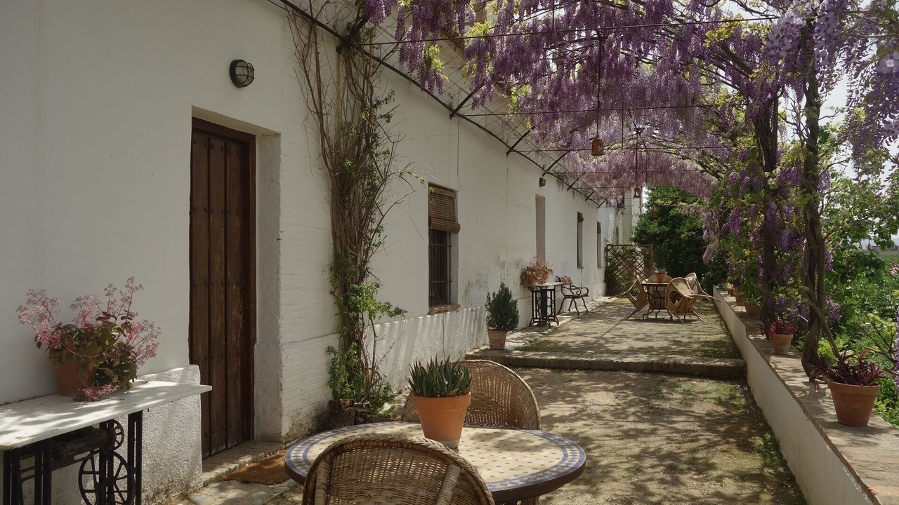Photo of Outdoor in Churriana de la Vega