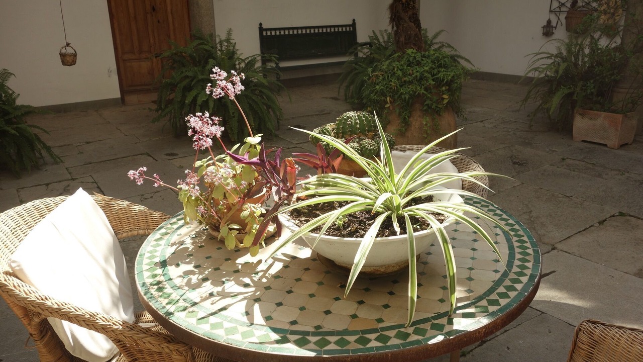 Photo of Patio Balcony in Churriana de la Vega