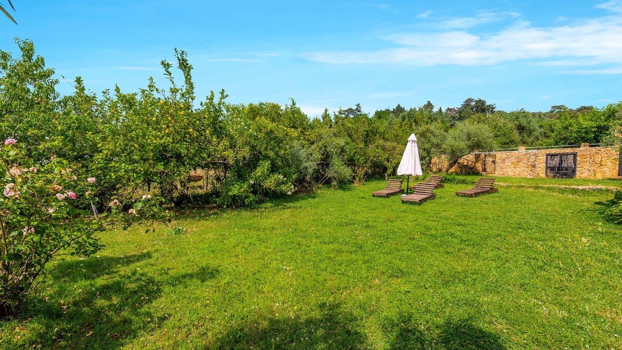 Photo of Outdoor in Aracena