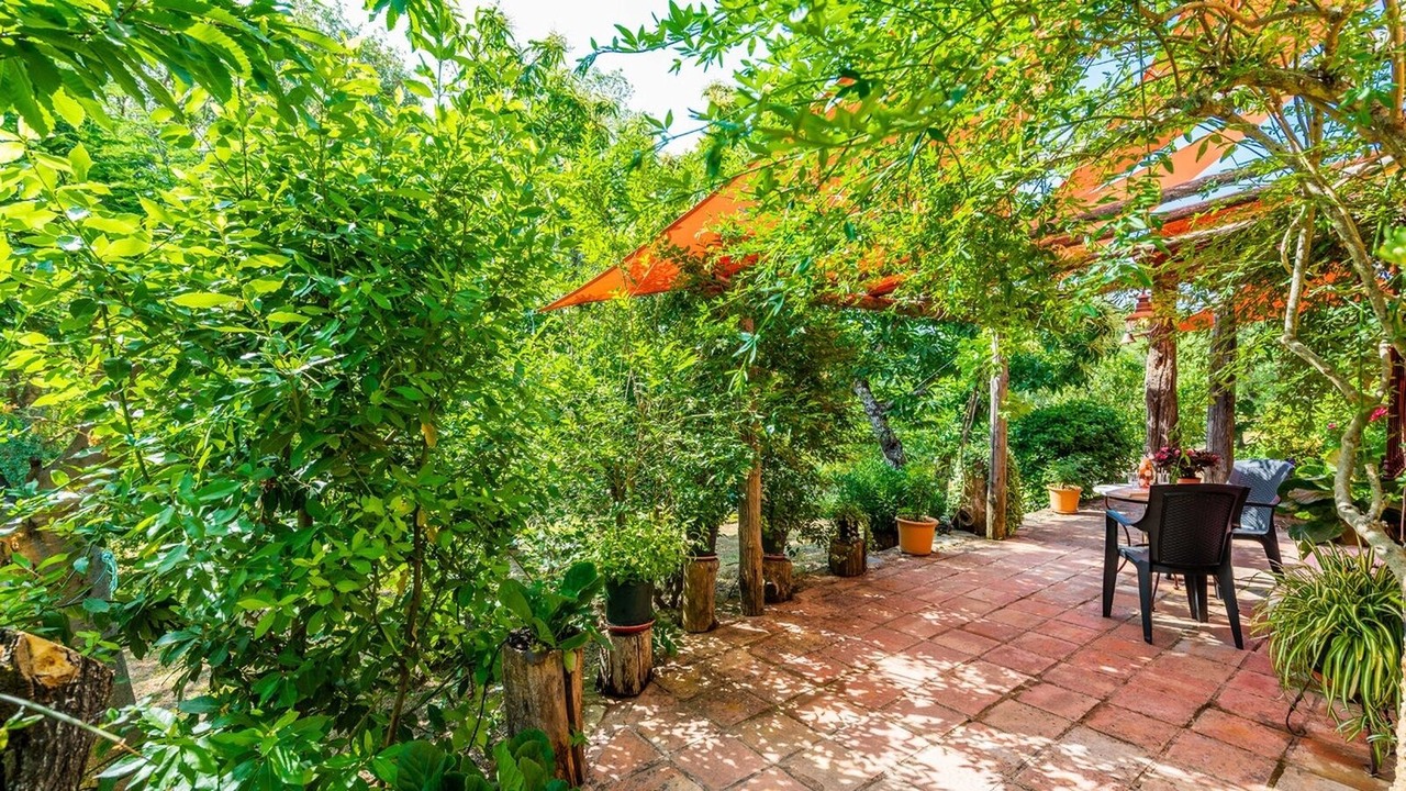 Photo of Outdoor in Fuenteheridos