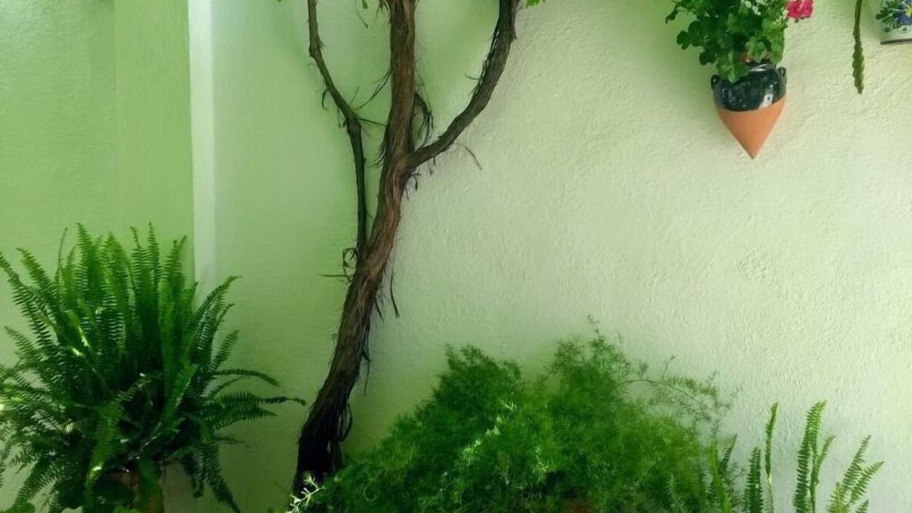 Photo of Outdoor in Mancha Real