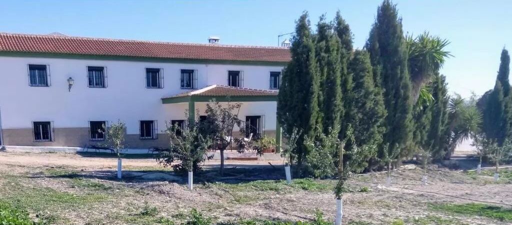 Photo of Outdoor in Campillos