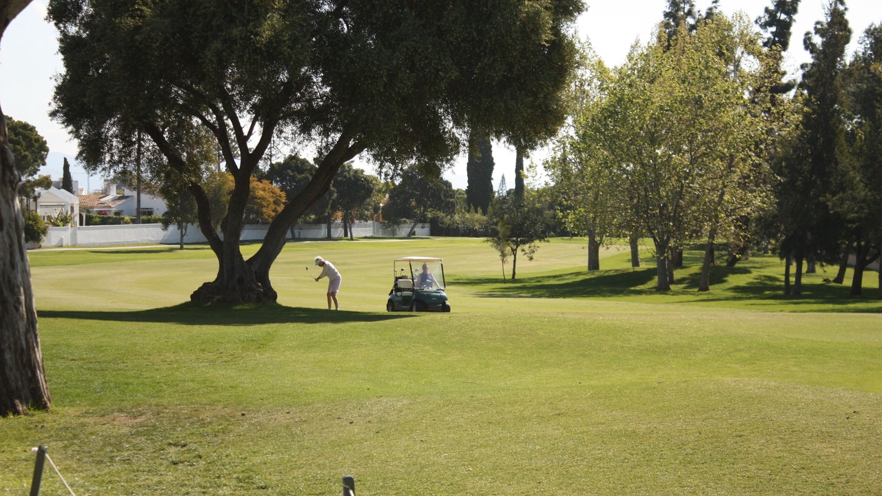 Photo of Others in Guadalmina