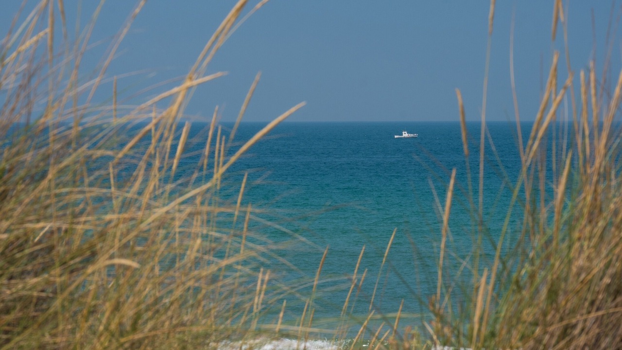 Photo of Others in El Palmar