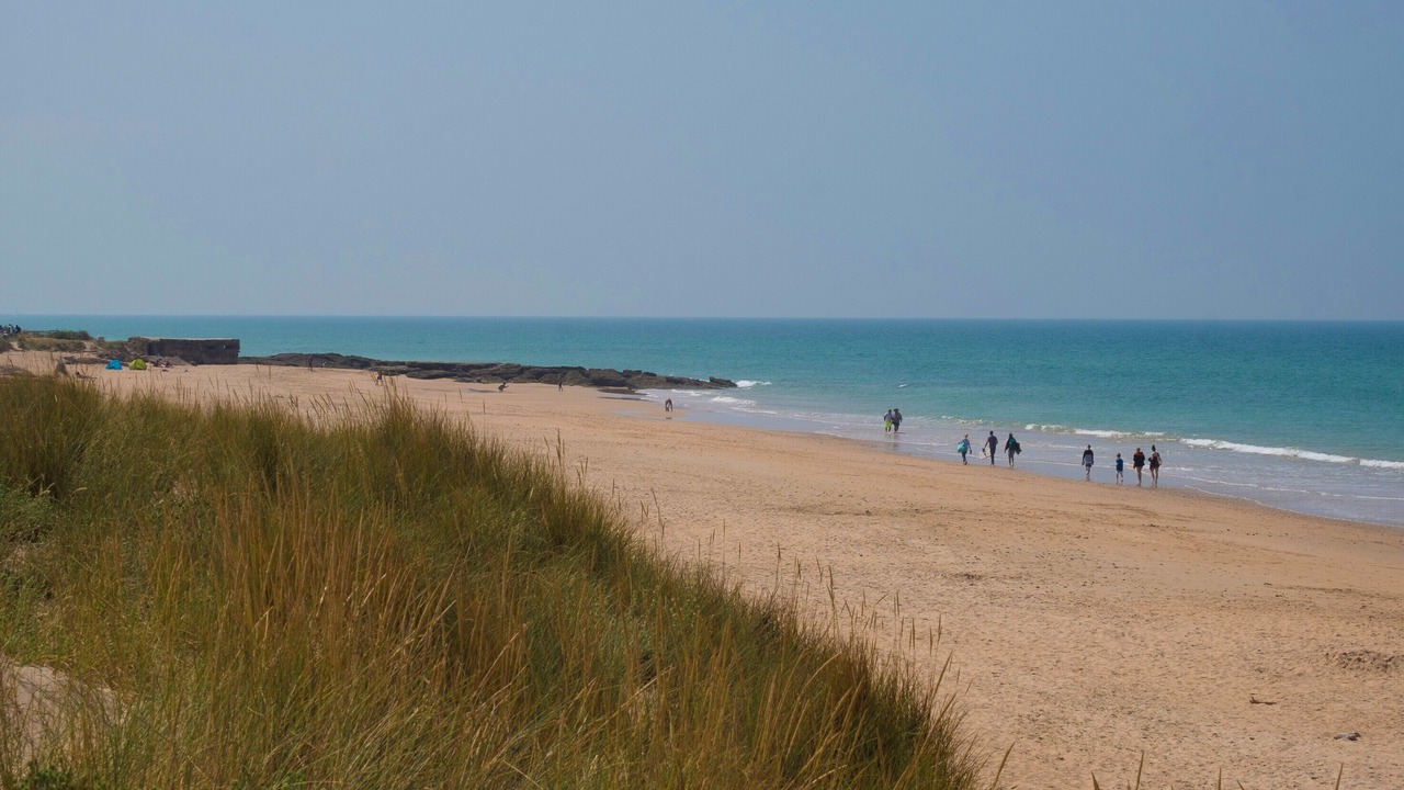 Photo of Others in El Palmar