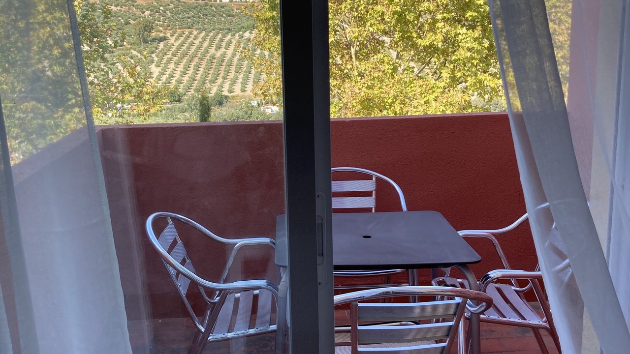 Photo of Others in Baena