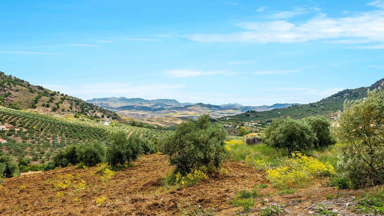 Photo of Outdoor in Alora