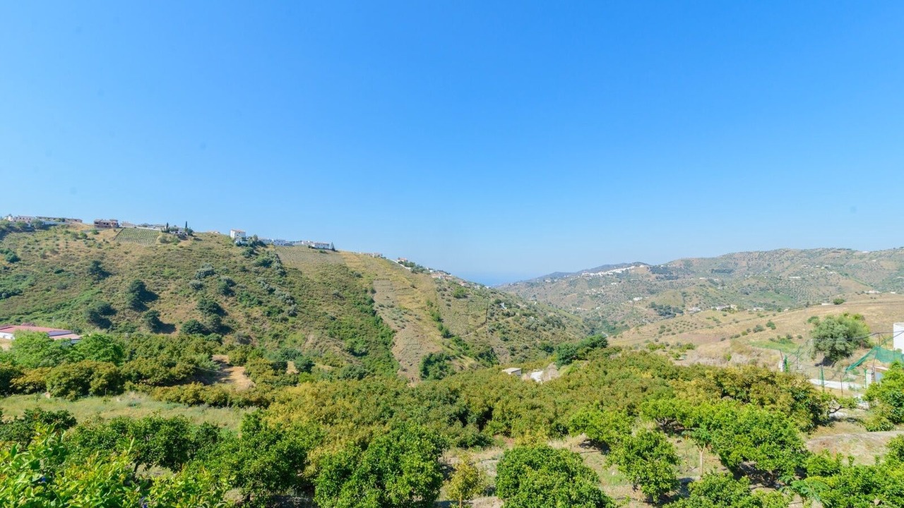 Photo of Others in Competa