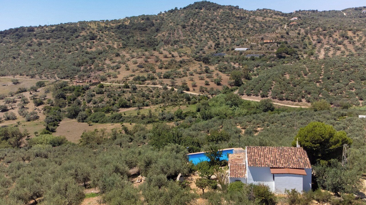 Photo of Outdoor in Alfarnatejo