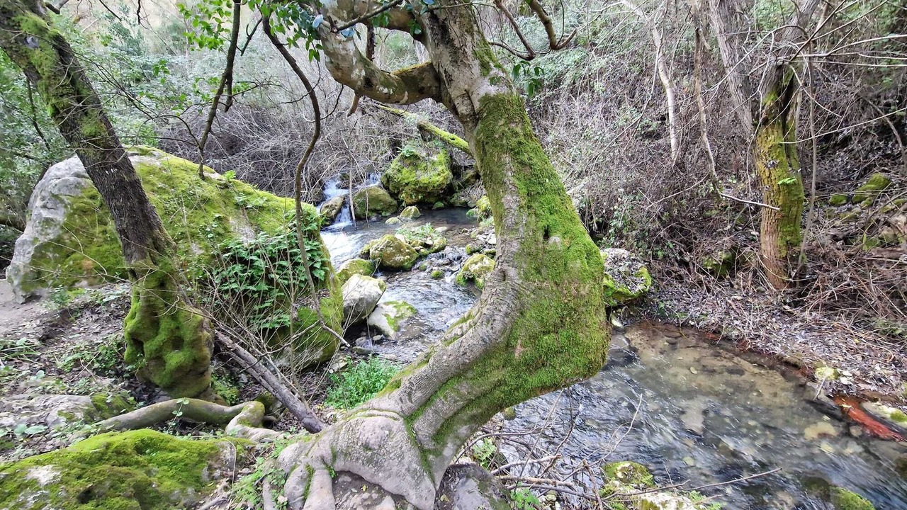 Photo of Outdoor in Benamahoma