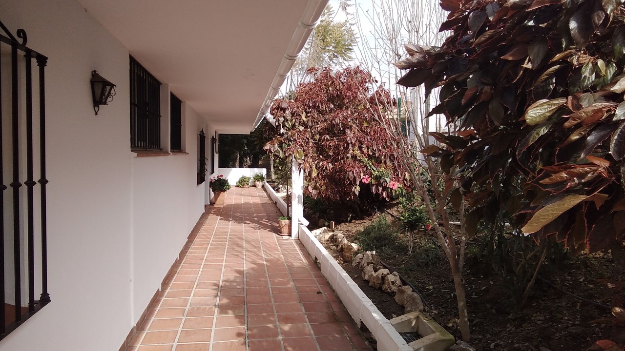 Photo of Outdoor in Caleta de Velez