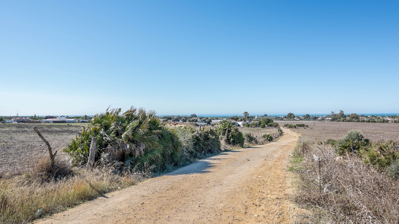 Photo of Others in El Palmar