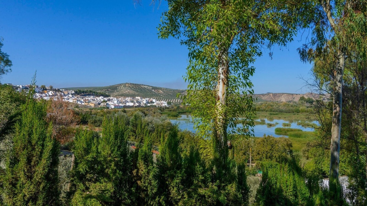 Photo of Outdoor in Cuevas Bajas