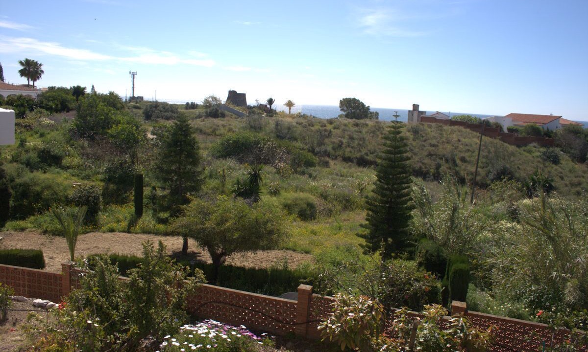 Photo of Outdoor in Benajarafe