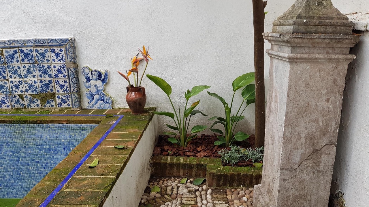 Photo of Outdoor in La Catedral