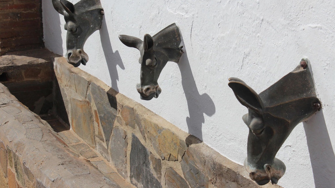 Photo of Others in Genalguacil