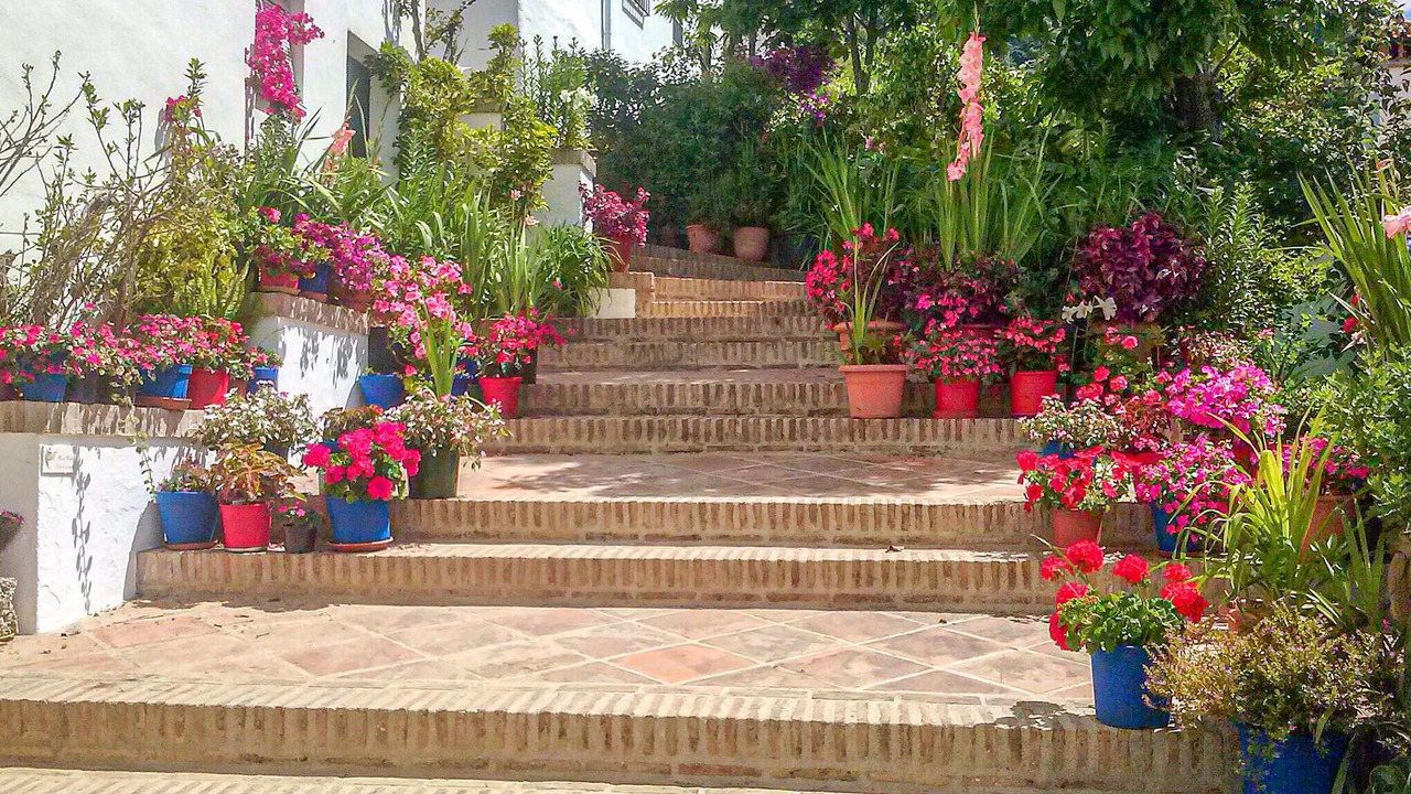 Photo of Others in Genalguacil