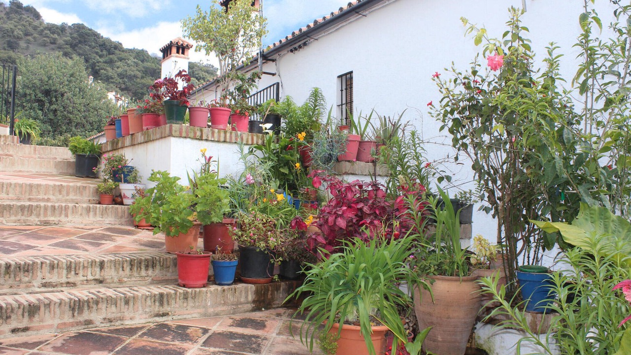 Photo of Others in Genalguacil
