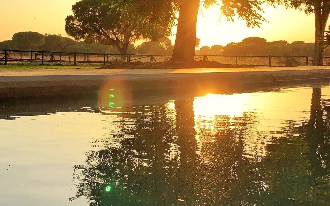 Photo of Outdoor in Aznalcazar