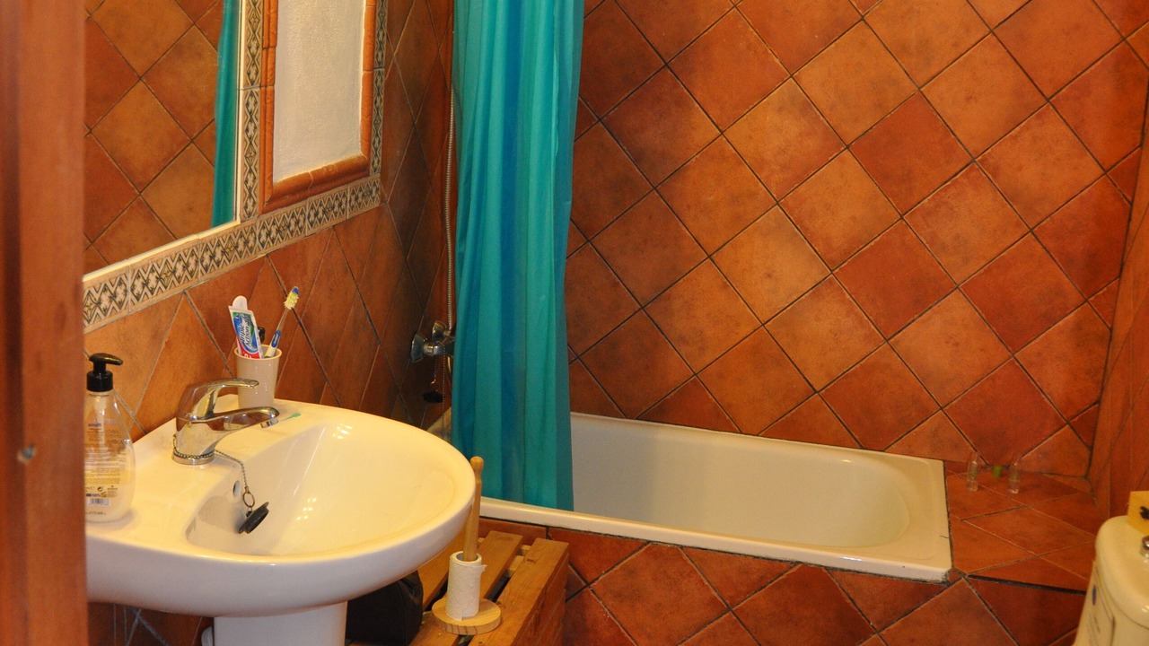 Photo of Bathroom in Iznate
