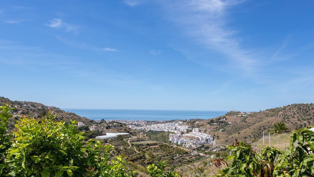 Photo of Others in Torrox