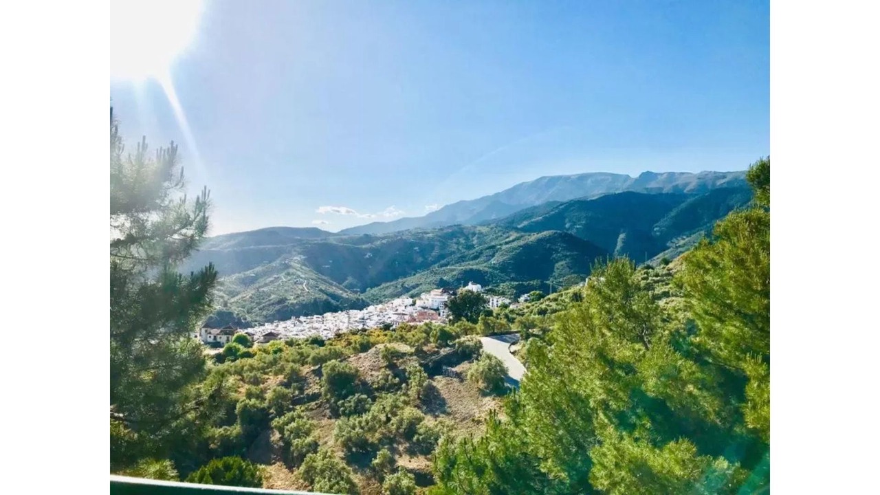 Photo of Others in Canillas de Albaida