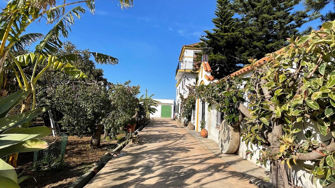 Photo of Outdoor in Barrio Nuevo