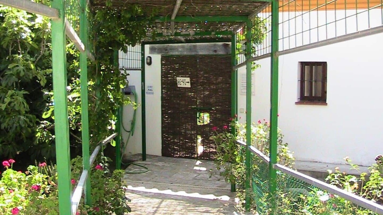 Photo of Outdoor in Barrio Nuevo