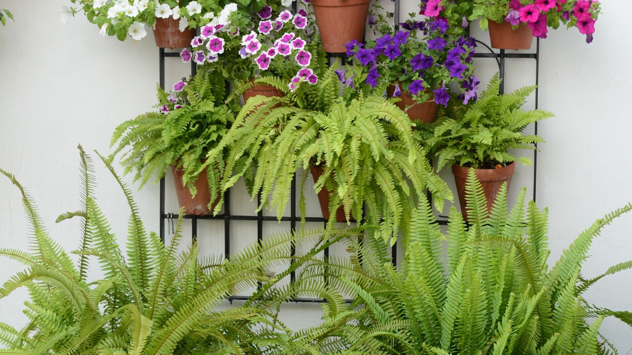 Photo of Outdoor in Distrito Centro