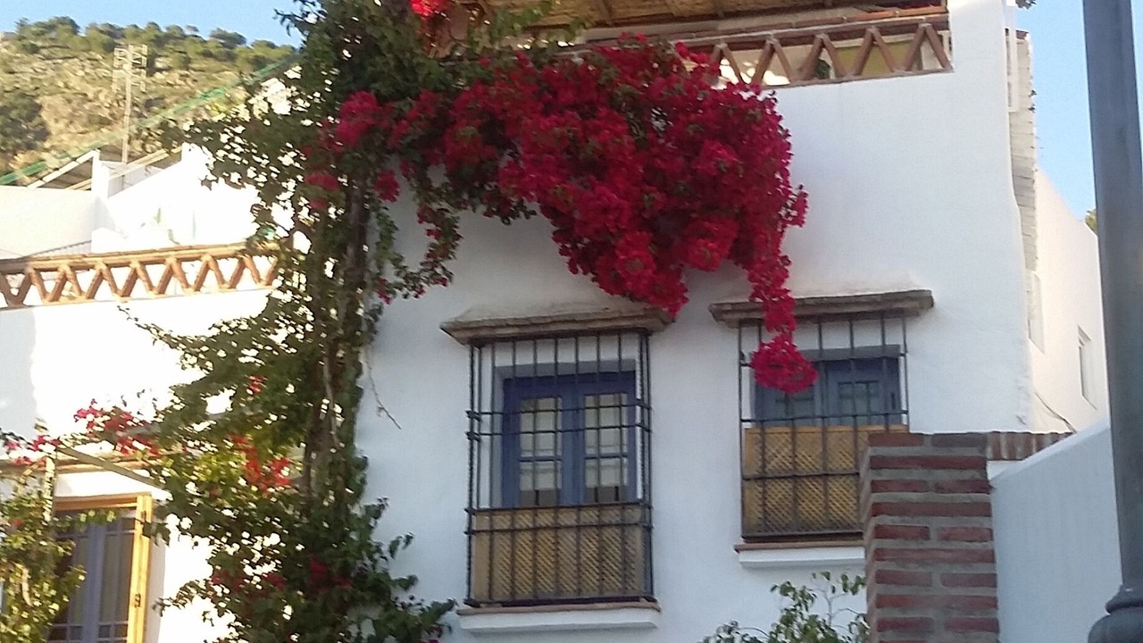 Photo of Outdoor in Frigiliana