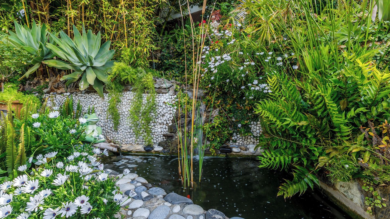 Photo of Outdoor in Benajarafe