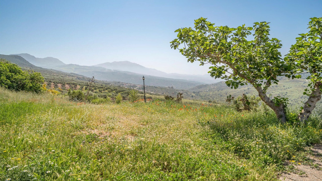 Photo of Bedroom in Alfarnatejo