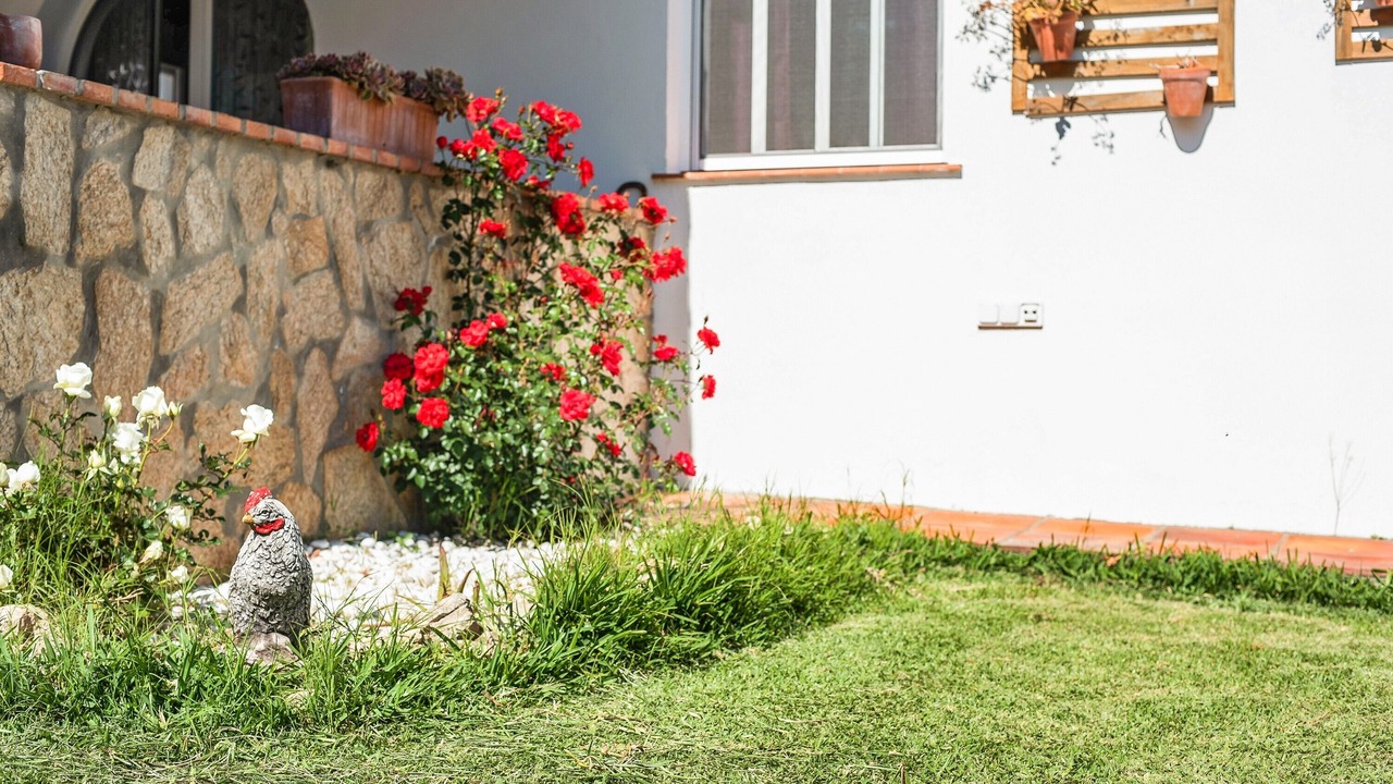 Photo of Outdoor in Vejer de la Frontera