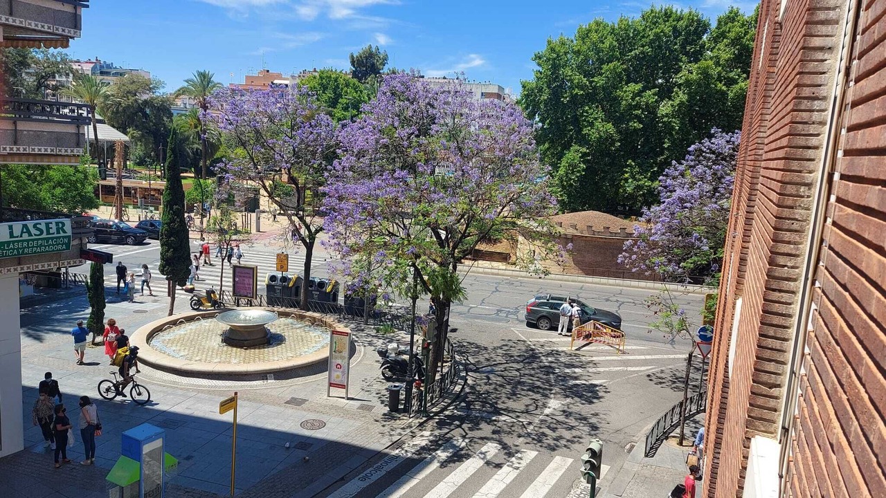 Photo of Outdoor in Centro Comercial
