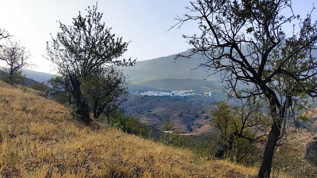 Photo of Outdoor in Gualchos