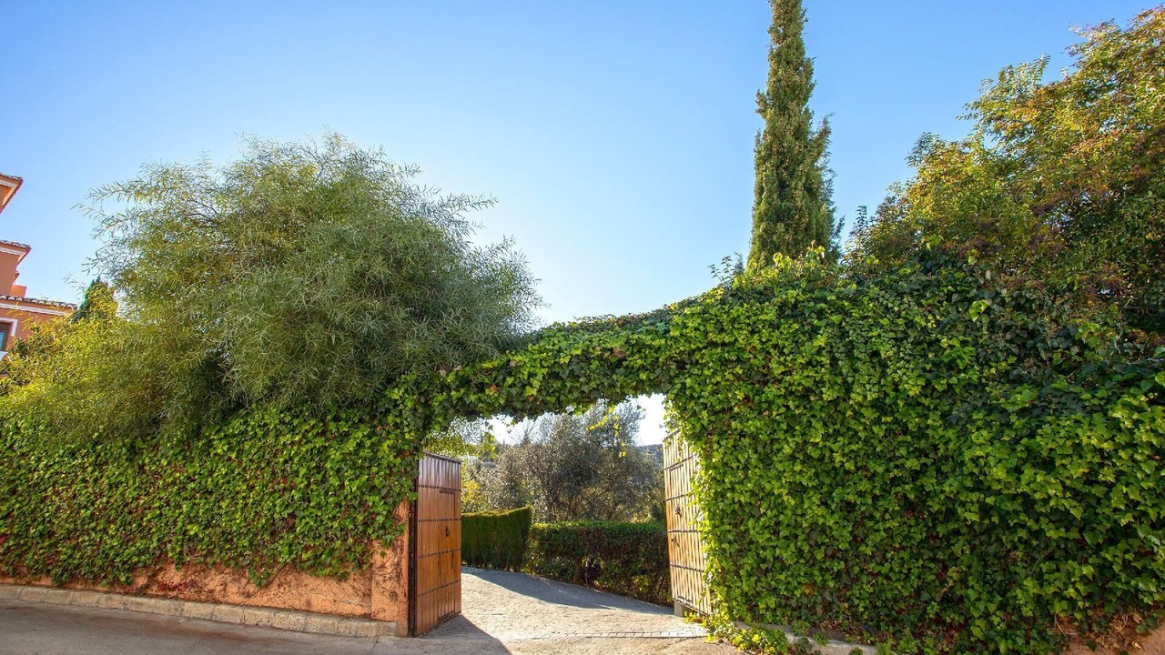 Photo of Outdoor in Alcaucin