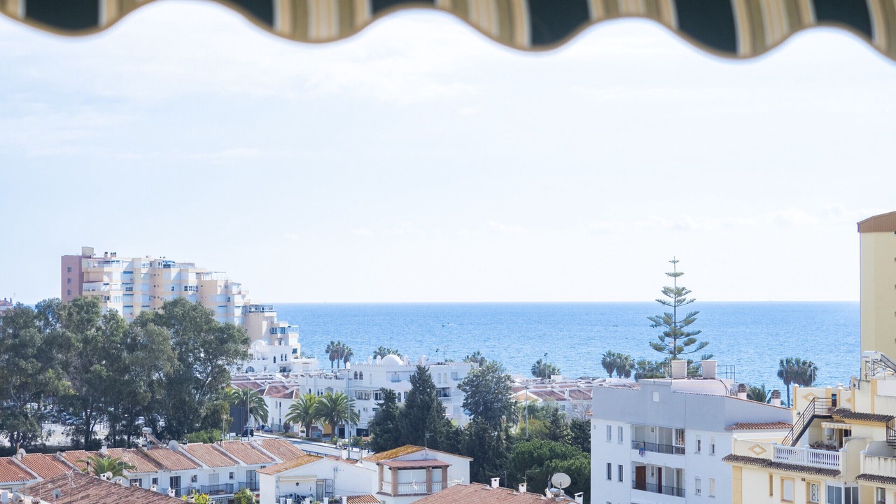 Photo of Others in Algarrobo