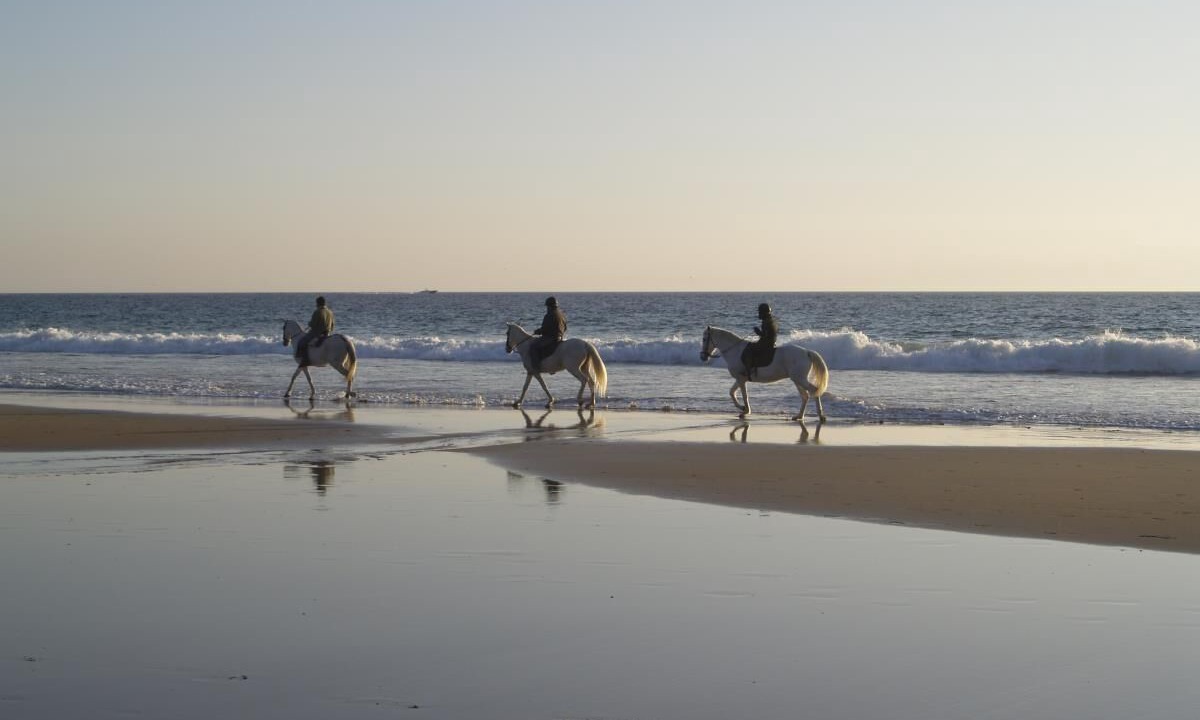 Photo of Others in Cabo Roche