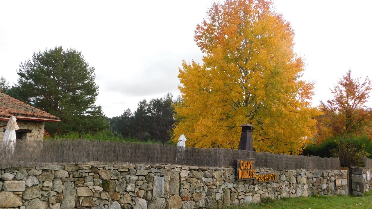 Photo of Outdoor in Hoyos del Espino