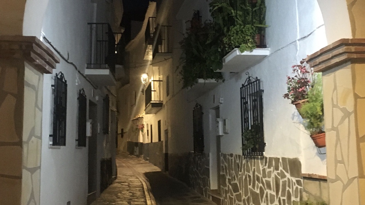Photo of Others in Canillas de Aceituno