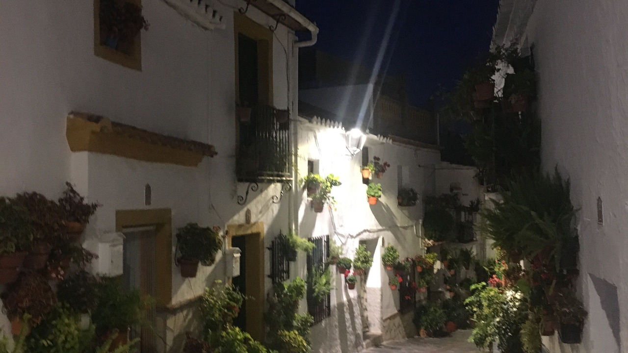 Photo of Others in Canillas de Aceituno