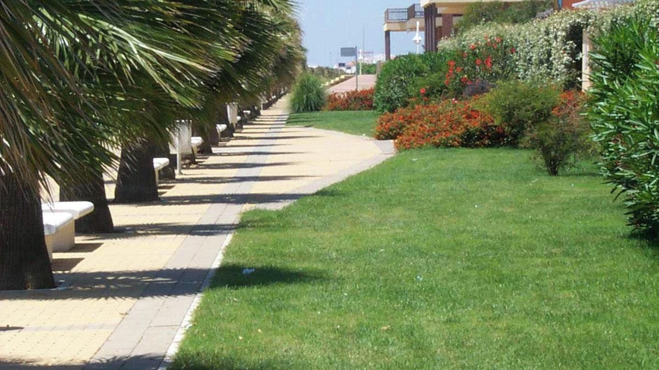 Photo of Others in Islantilla